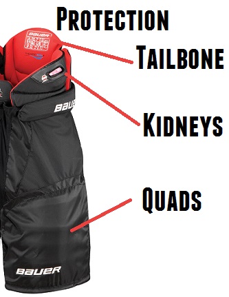 Bauer Hockey Pants Size Chart and Guide